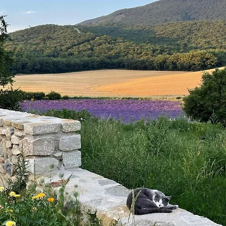 Villa Charme Et Confort - Maison Renovee Avec Piscine - *
