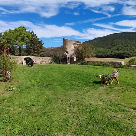 Charme Et Confort - Maison Renovee Avec Piscine - *