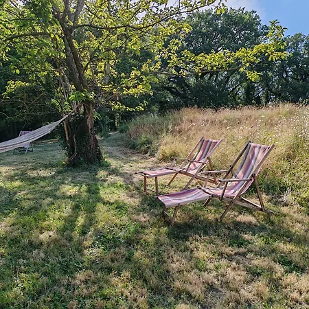 Charme Et Confort - Maison Renovee Avec Piscine - Condillac