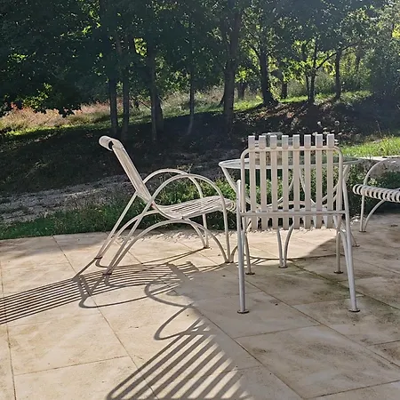 Charme Et Confort - Maison Renovee Avec Piscine - * Condillac